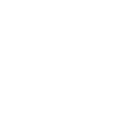 transaction check icon